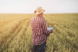 Farmers working in the field